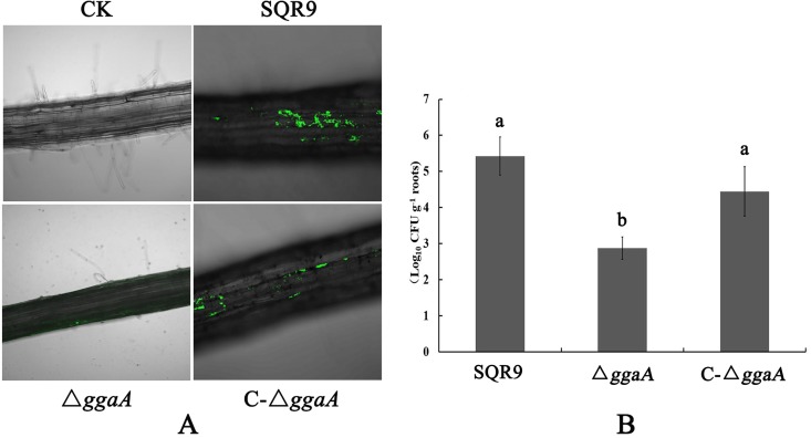 FIG 4