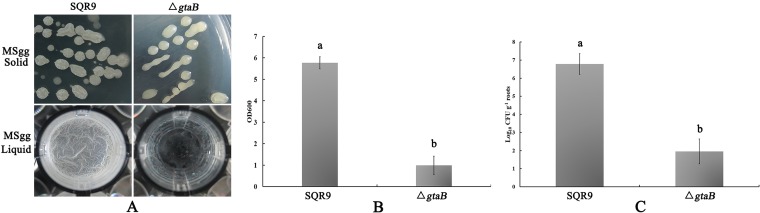 FIG 6