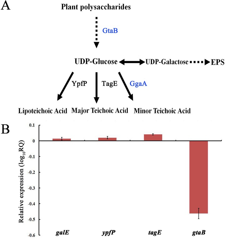 FIG 5