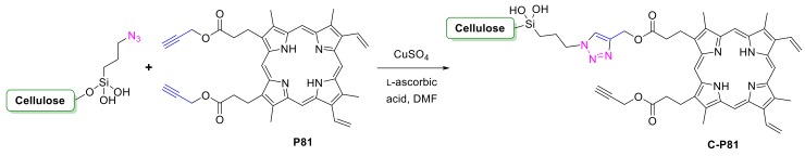 Scheme 26