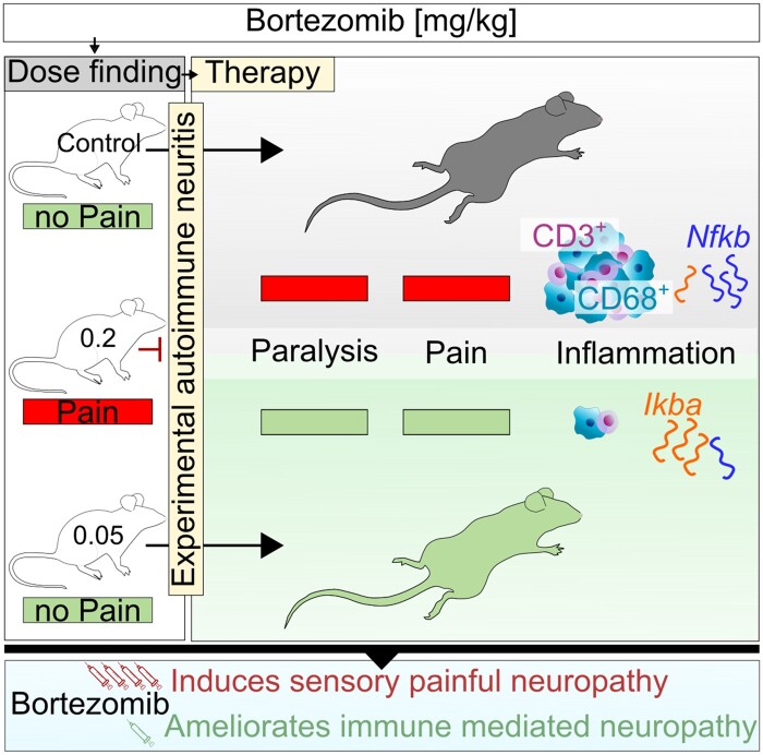 Graphical Abstract