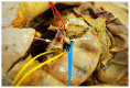 Figure 18