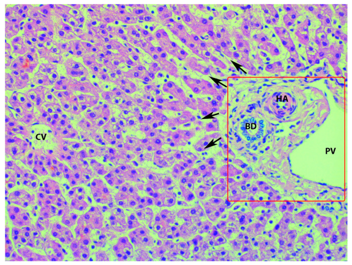 Figure 20