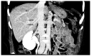 Figure 24