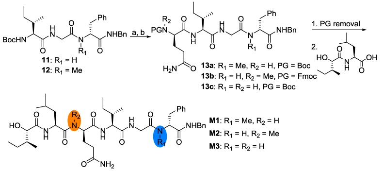 Scheme 5