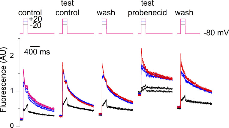 Figure 5.