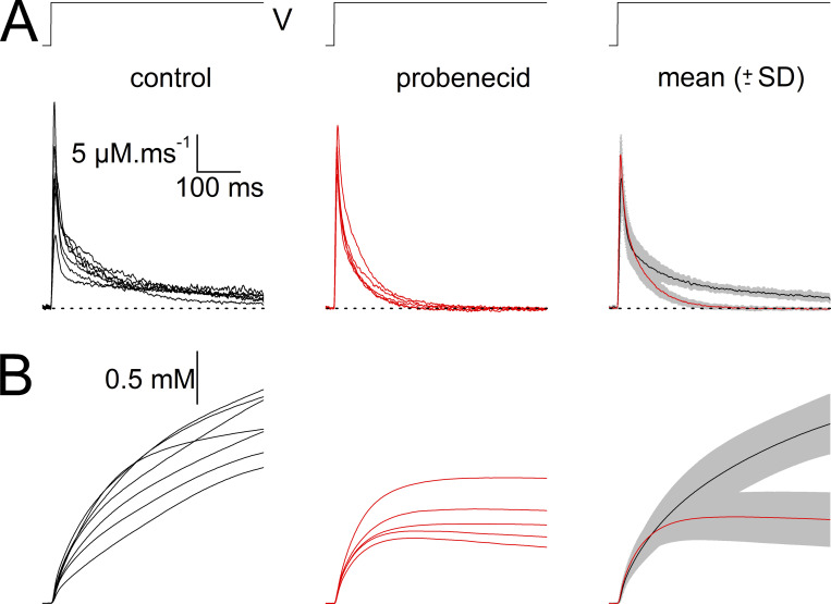 Figure 11.