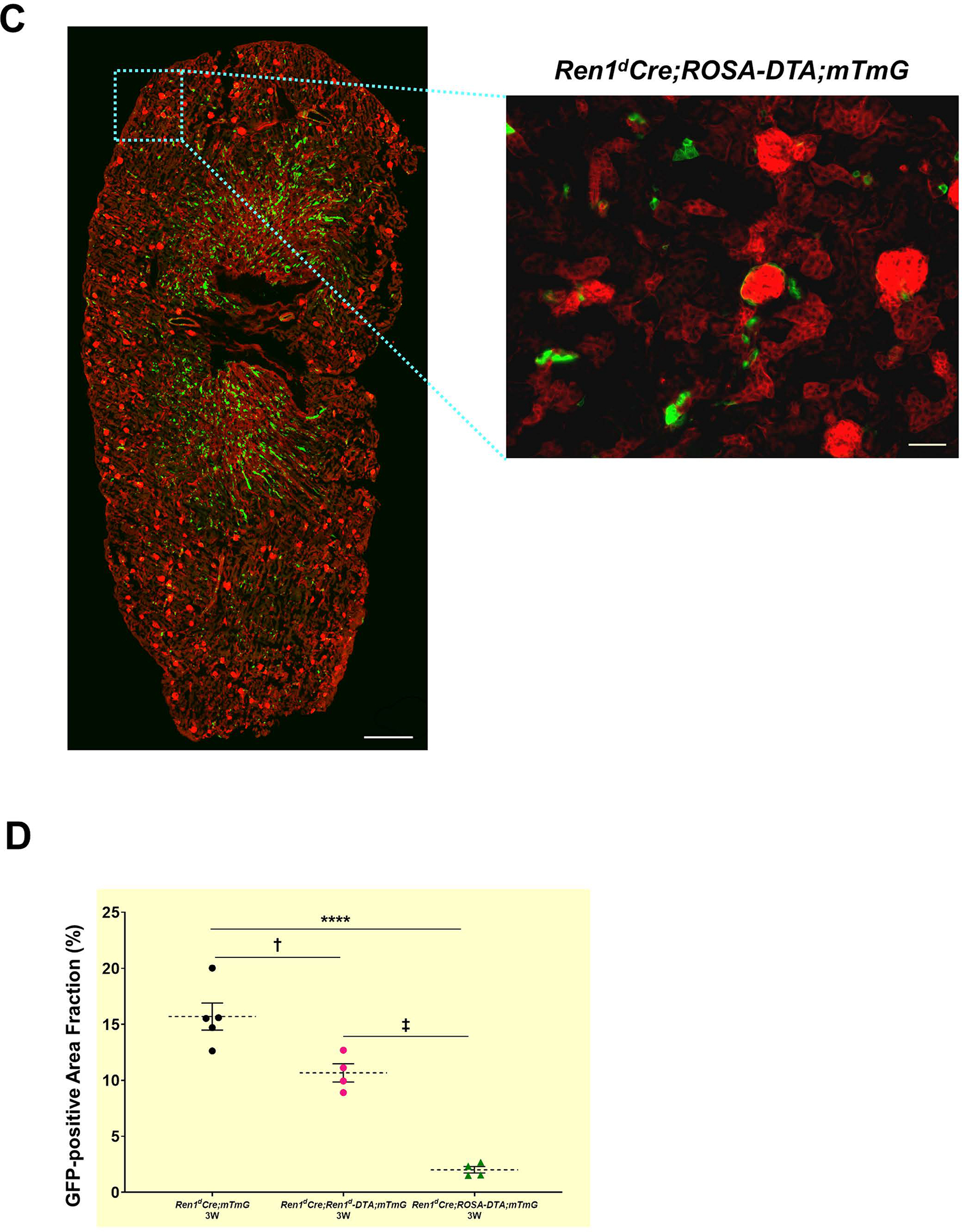 Figure 4: