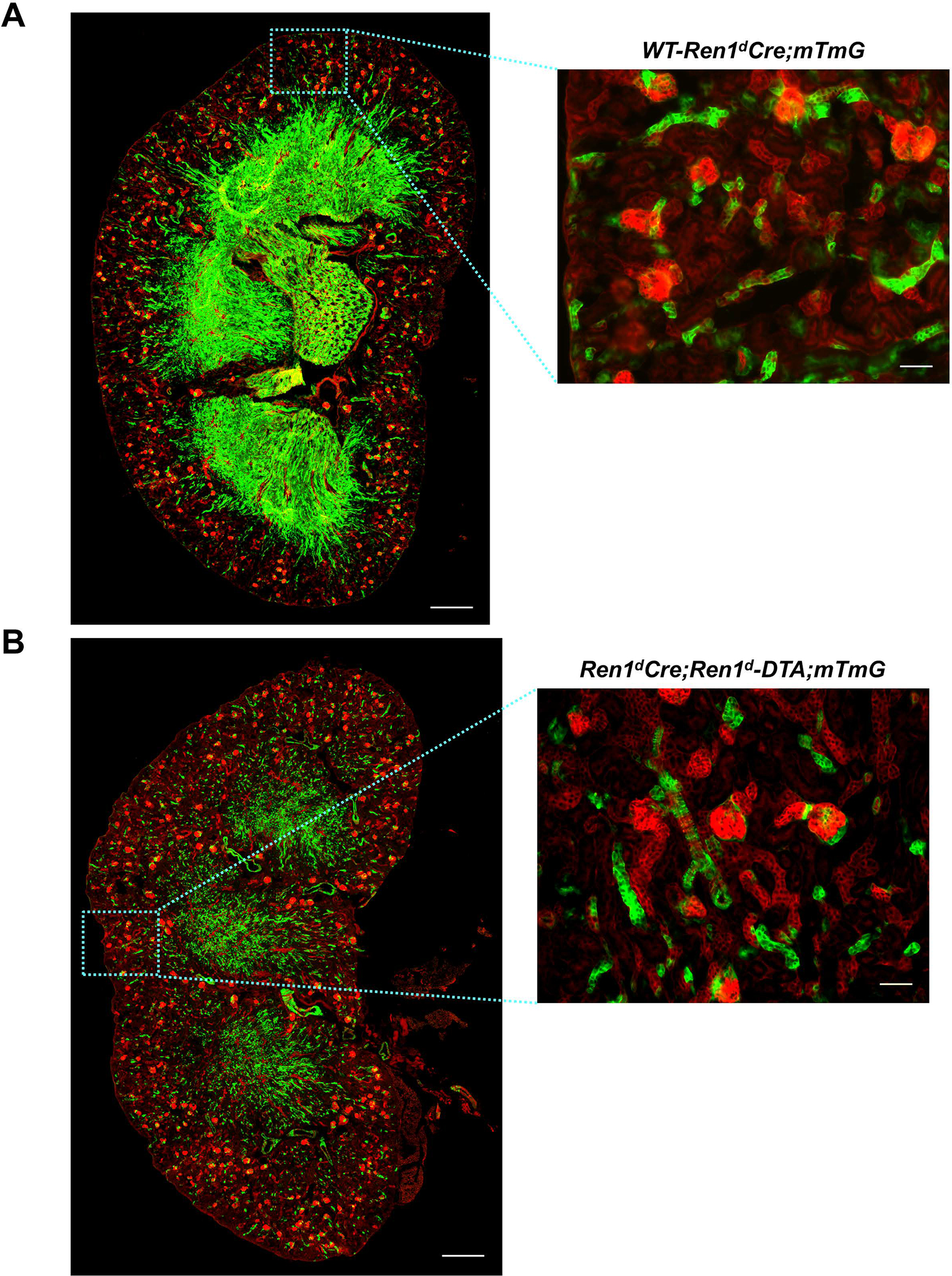 Figure 4: