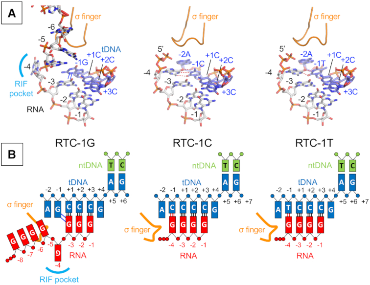 Figure 5.