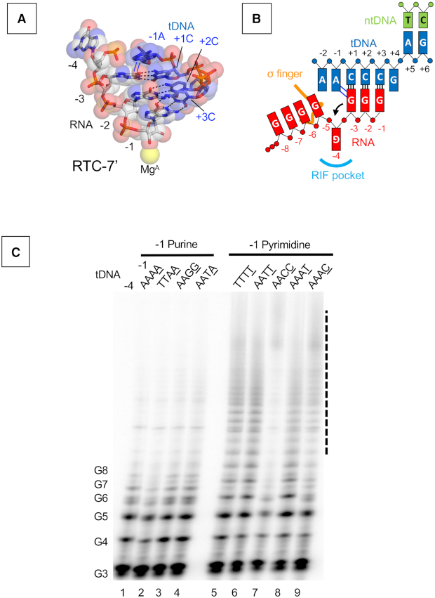 Figure 4.