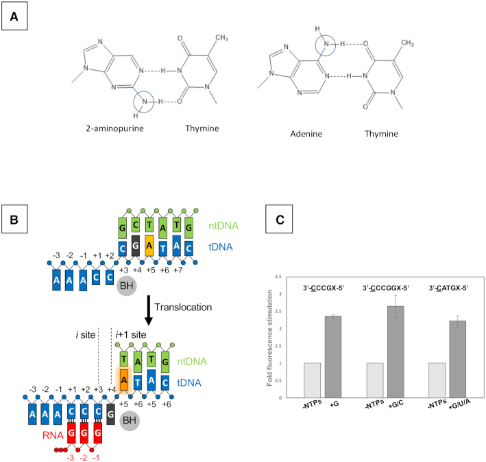 Figure 2.