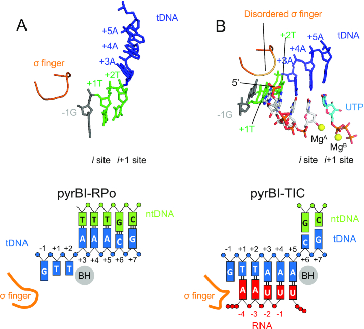 Figure 6.