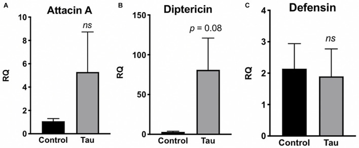 FIGURE 3