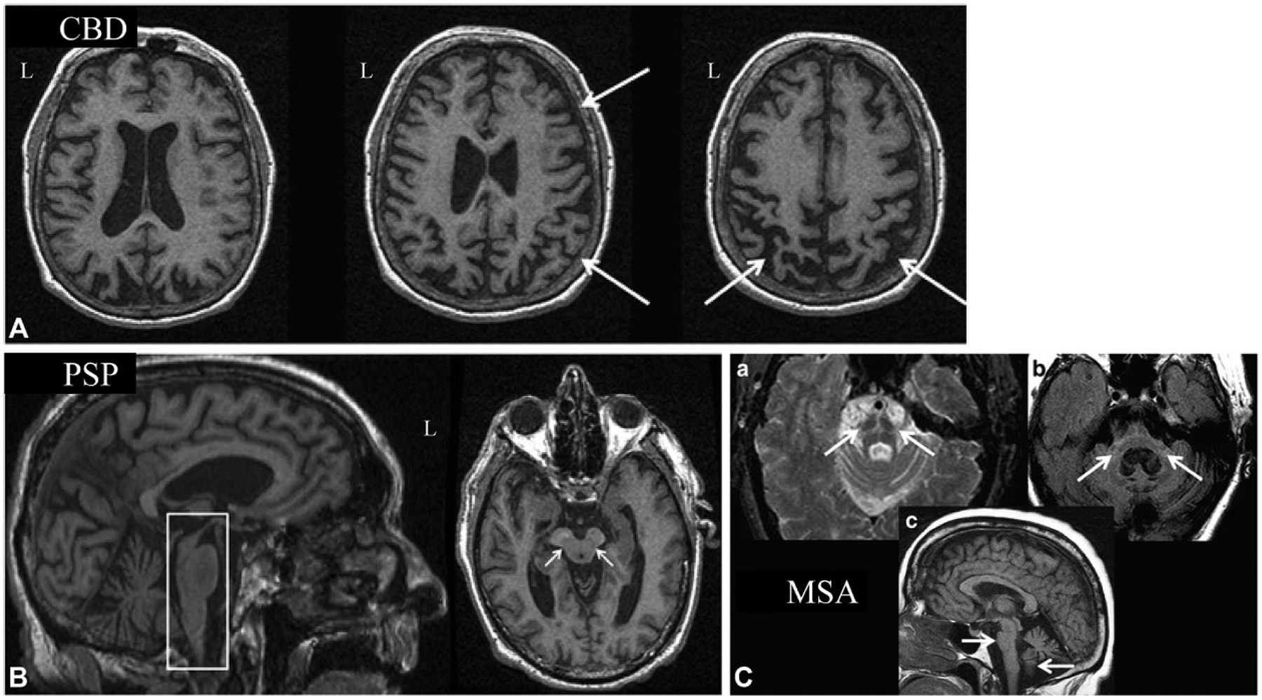 Fig. 12.6.