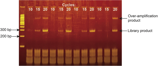 Figure 6