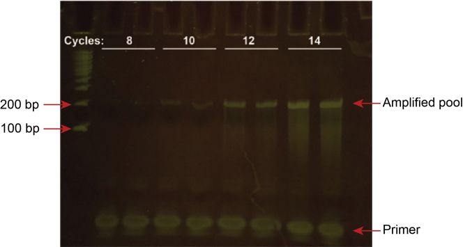 Figure 2