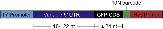 Figure 1