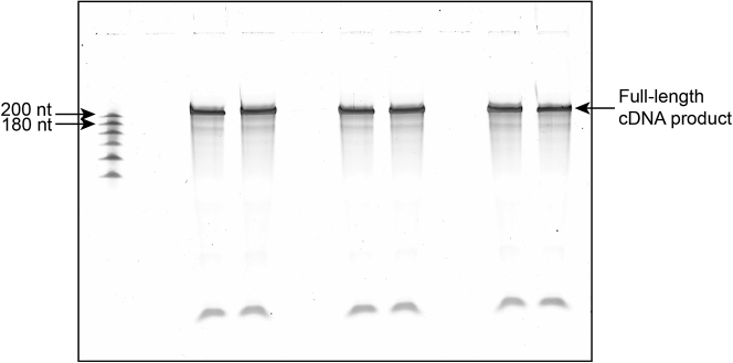 Figure 5