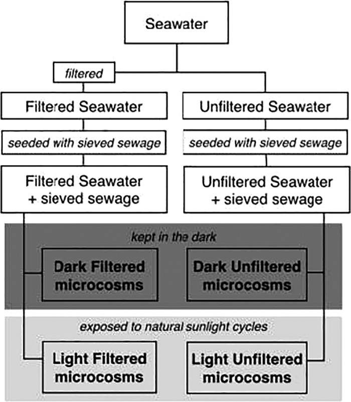 FIG 1