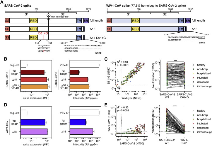 Figure 6