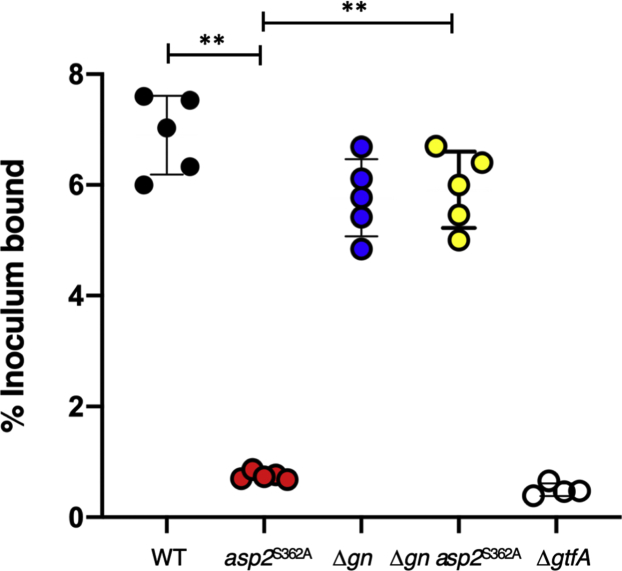 Figure 5