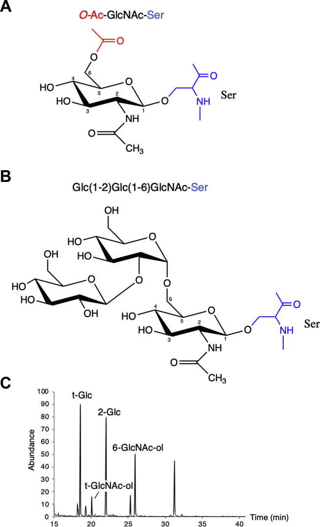 Figure 3