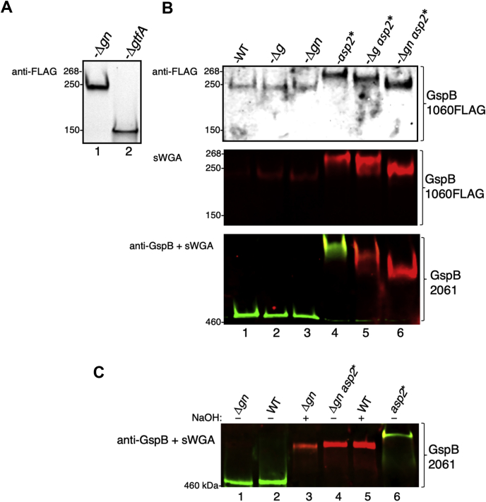 Figure 2