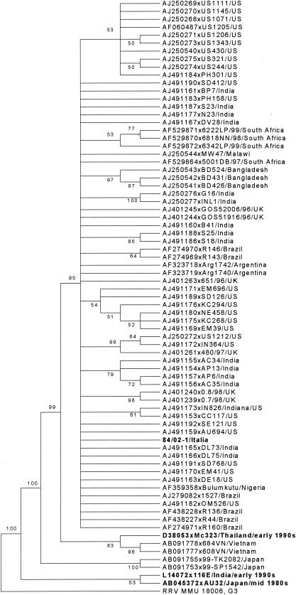 FIG. 1.