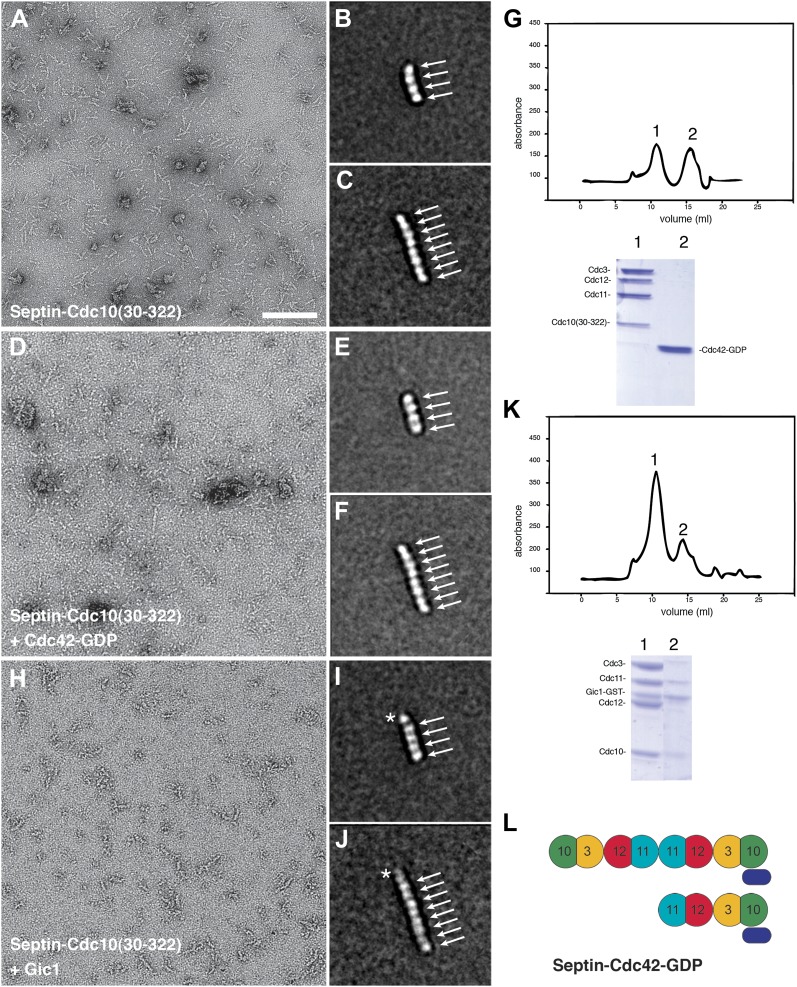 Figure 13.