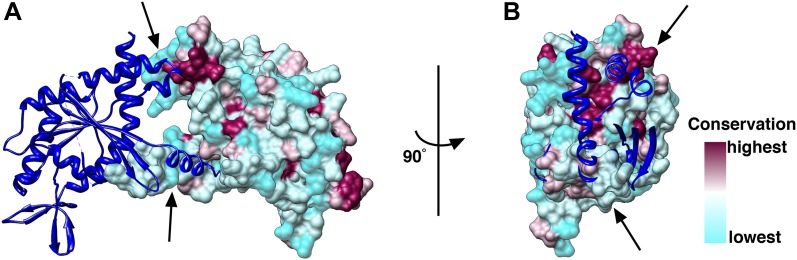 Figure 12.