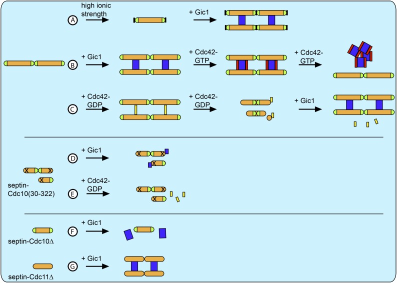 Figure 15.