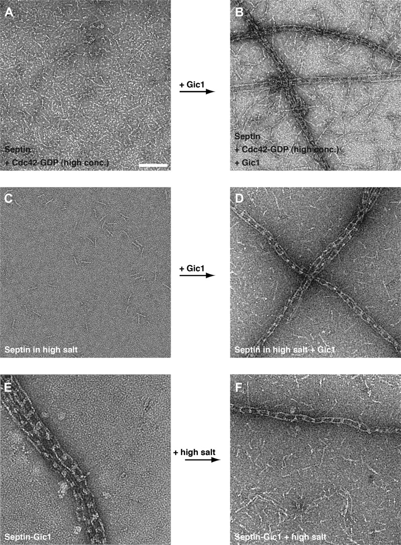 Figure 14.