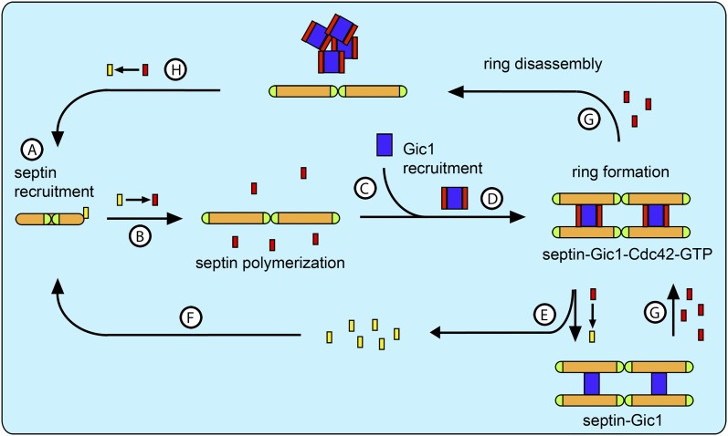 Figure 16.