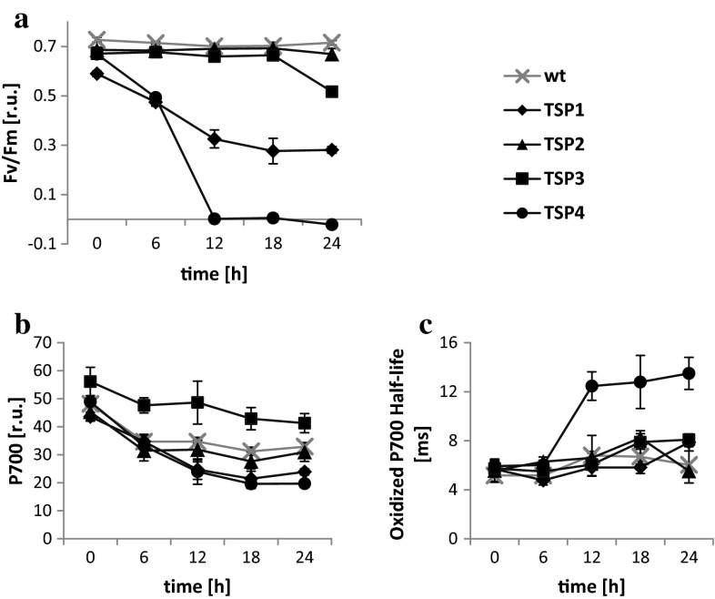 Fig. 2