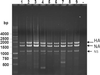 Fig 4.