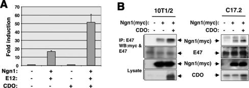 FIG. 6.