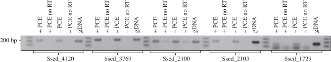 Figure 5.