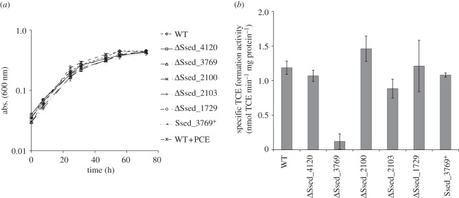 Figure 6.