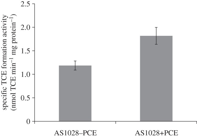 Figure 4.