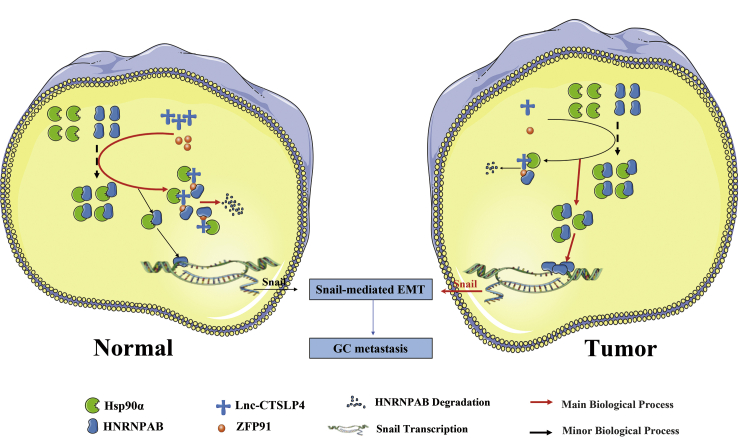 Figure 7