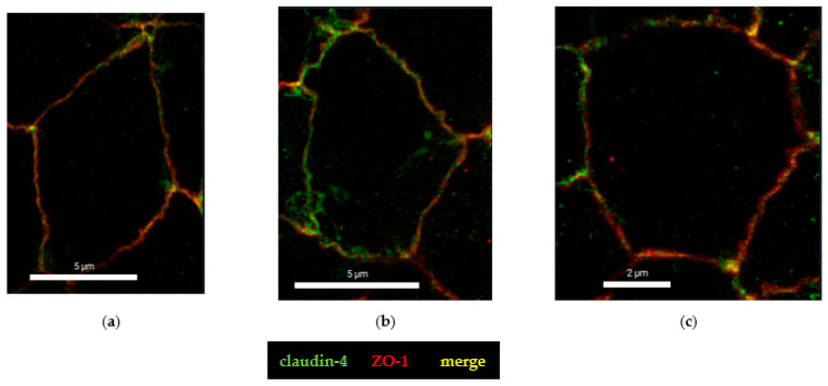 Figure 10