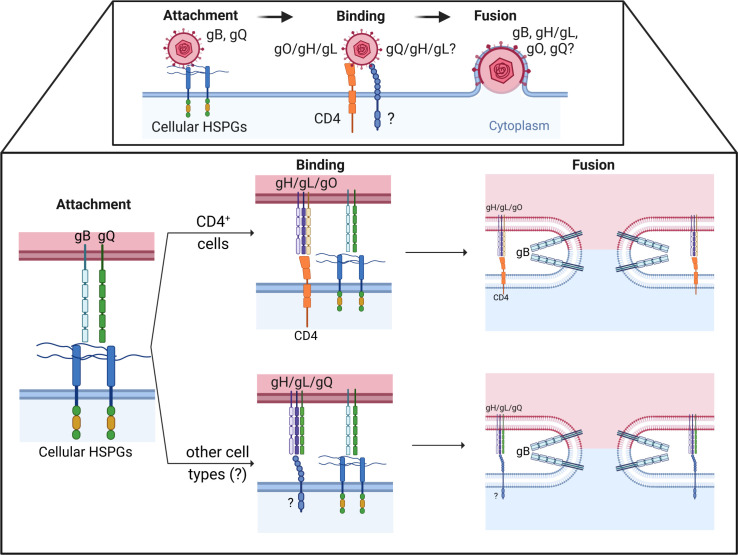 Fig 2