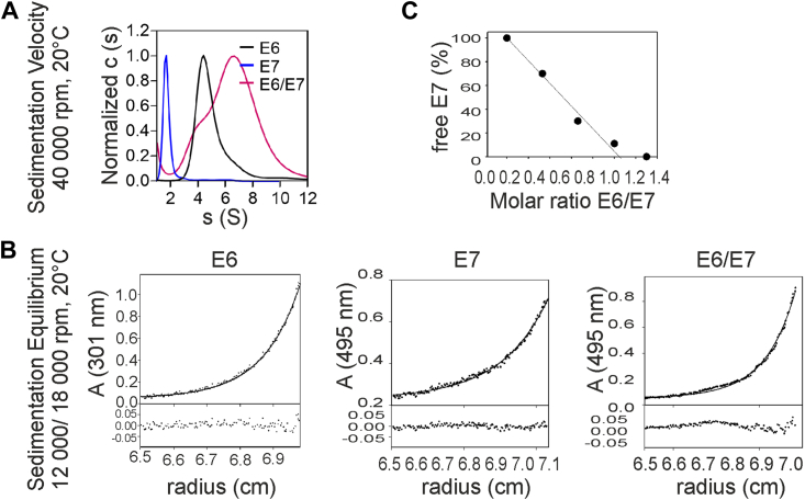 Figure 3