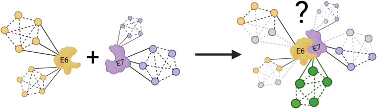 Figure 6