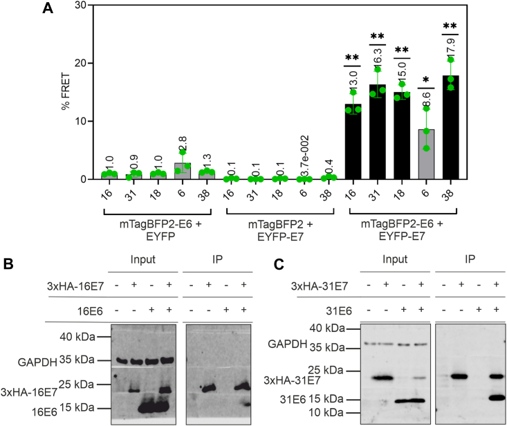 Figure 2