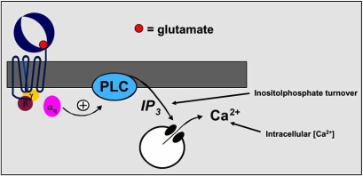 Fig. (1)