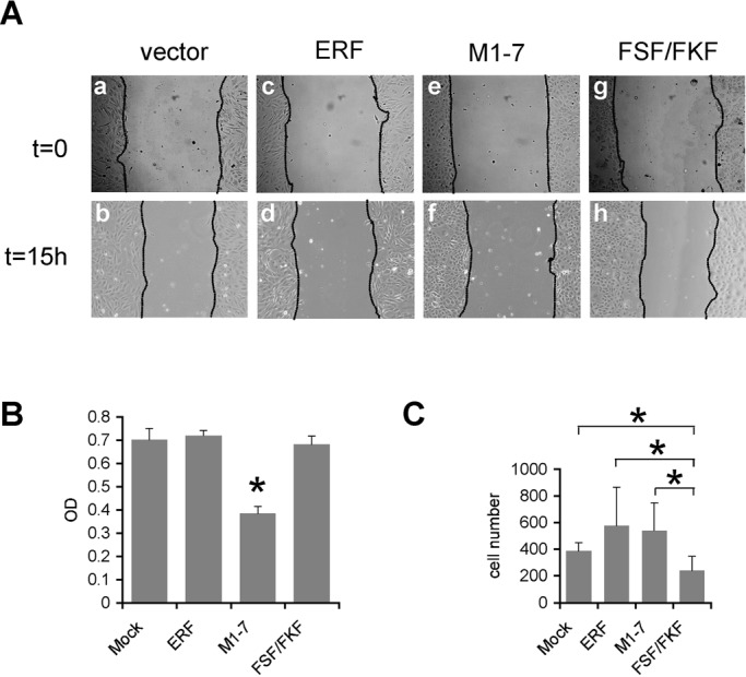 FIGURE 3: