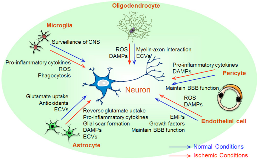 Fig. (1)