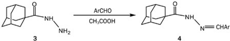 Scheme 2